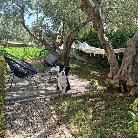 Apartment Studio Marina