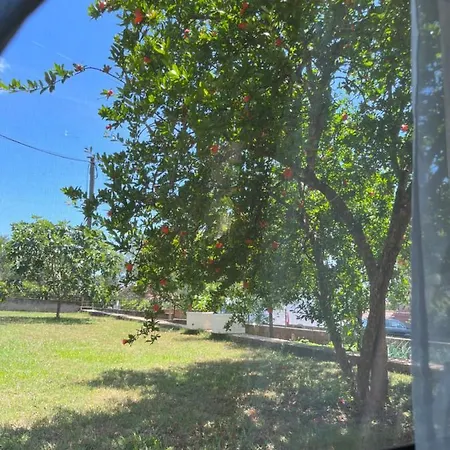 Studio Marina Apartment